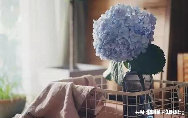 有人说“爱情中，好的感情，是两个人彼此的成长”你怎么看