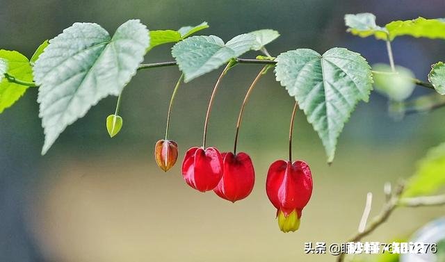 《清明上河图》可以按比例复制真人场景吗