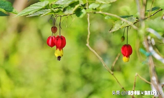 《清明上河图》可以按比例复制真人场景吗