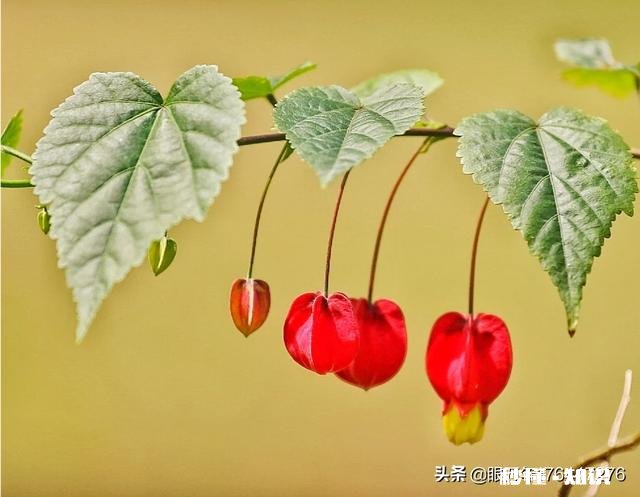 《清明上河图》可以按比例复制真人场景吗