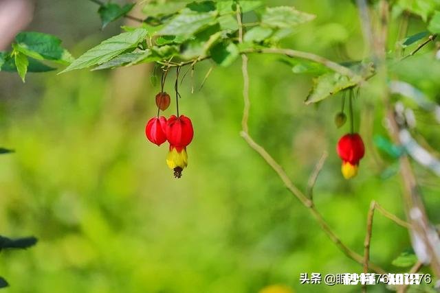 《清明上河图》可以按比例复制真人场景吗