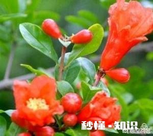 什么原因造成现在农村结婚彩礼这么高