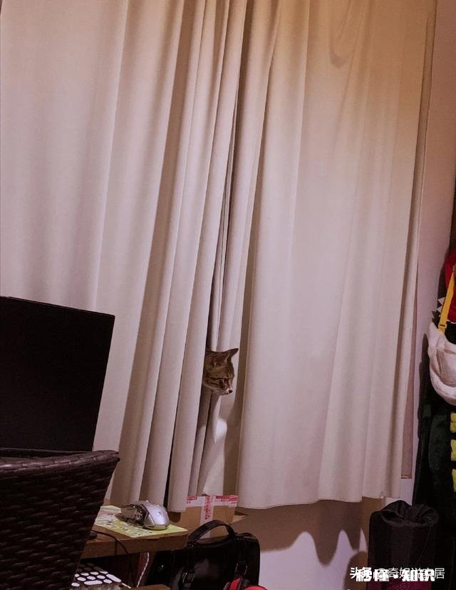 你说房间的窗户为什么都喜欢挂窗帘难道仅仅是遮挡光线、防进灰尘吗