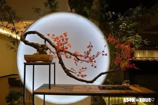 我被大自己23岁的大叔逼婚，他没孩子离婚了，我该怎么办