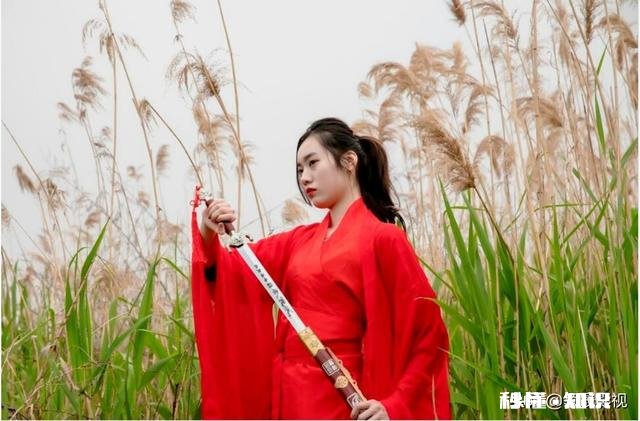 影视剧中古装剧和现代剧，哪一剧种受关注度高些