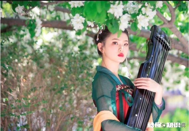 影视剧中古装剧和现代剧，哪一剧种受关注度高些