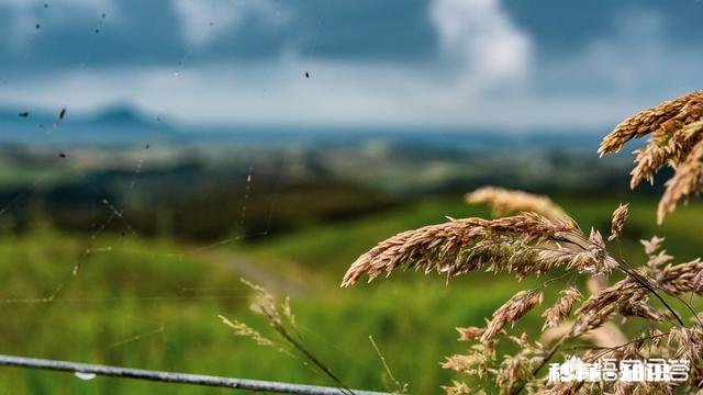 对于新手来说尼康d3400和d5300如何选择