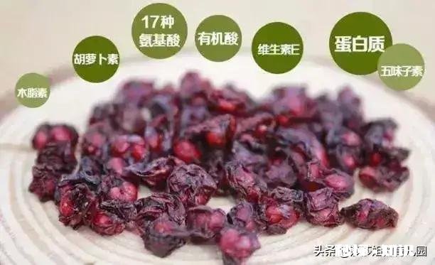 感觉胸闷、气短、心慌、失眠，但体检又一切正常，怎么办