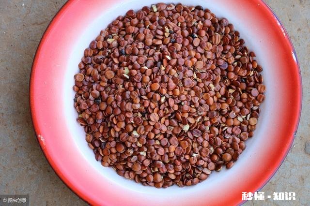 感觉胸闷、气短、心慌、失眠，但体检又一切正常，怎么办