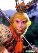 曾经同朝为官，猪八戒认识弼马温，为何有人说其不知玉帝枕边人卷帘大将