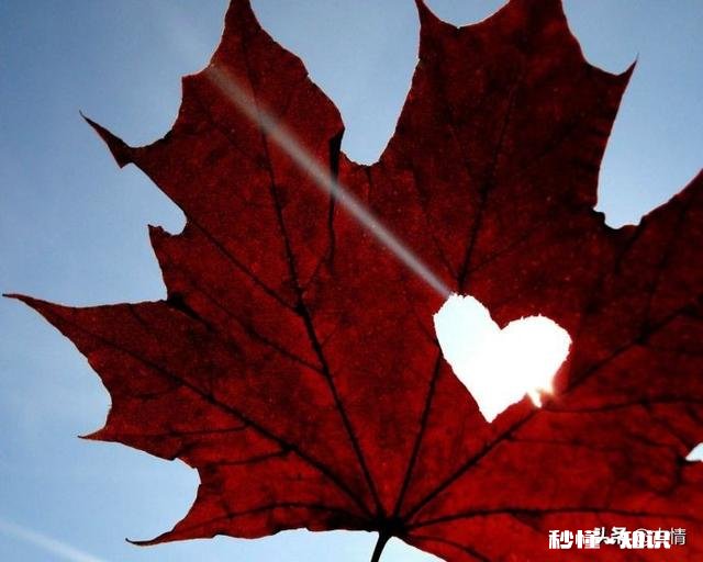 爹妈养大你的情义，难道会因为少给你几个钱就没了