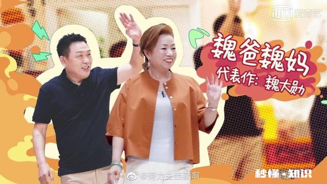 如何评价爱奇艺综艺《做家务的男人》及嘉宾们的表现