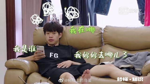 如何评价爱奇艺综艺《做家务的男人》及嘉宾们的表现