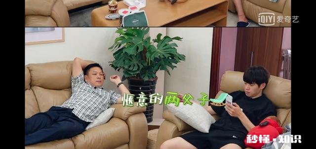 如何评价爱奇艺综艺《做家务的男人》及嘉宾们的表现