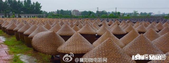 年关将至，你还记得父母最喜欢炒的一道菜吗为什么是这道菜