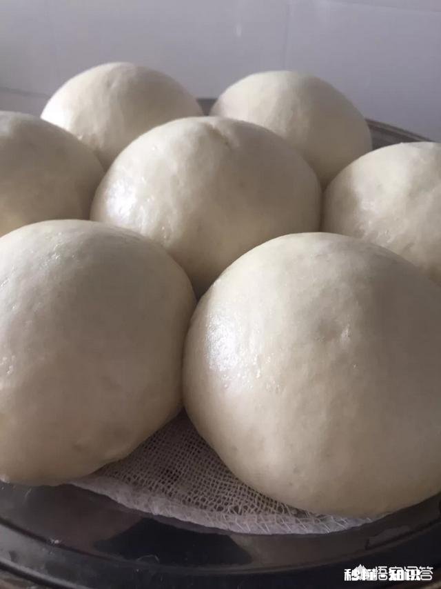 自发面粉怎么发，蒸馒头更蓬松
