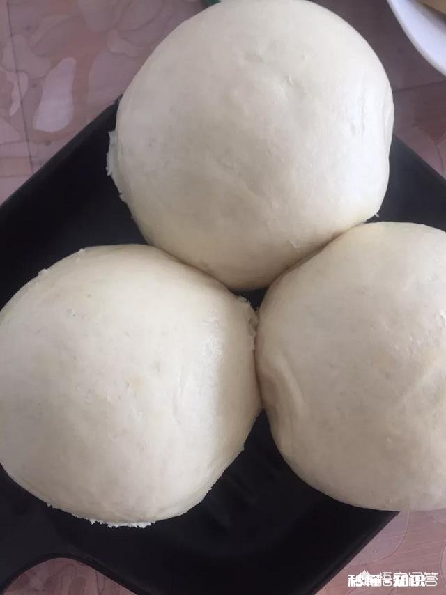 自发面粉怎么发，蒸馒头更蓬松