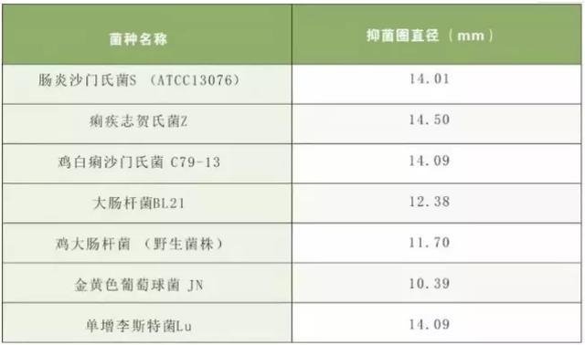 蛋鸡输卵管炎病因与治疗方法是什么