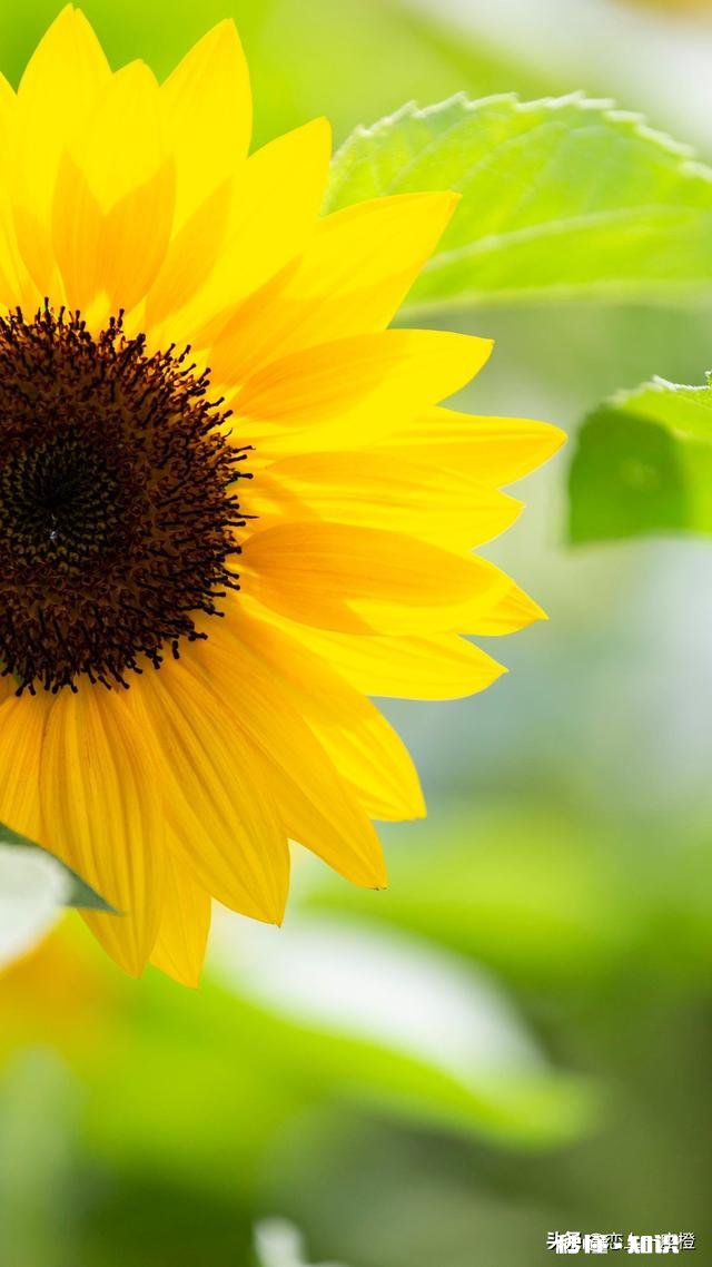 如果，自己错过了一个最爱自己的人，怎么办