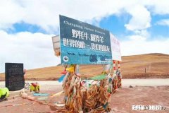 自驾去西藏，能带70岁左右的老人吗