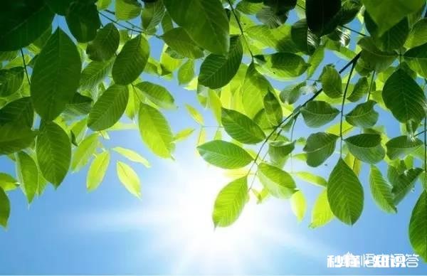 为什么有些人用真心去对待别人换来的总是失望