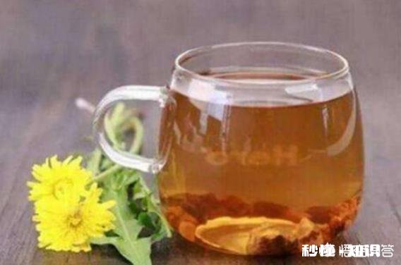 蒲公英茶加什么能瘦身要注意什么