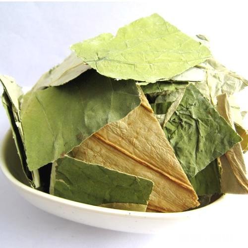 蒲公英茶加什么能瘦身要注意什么