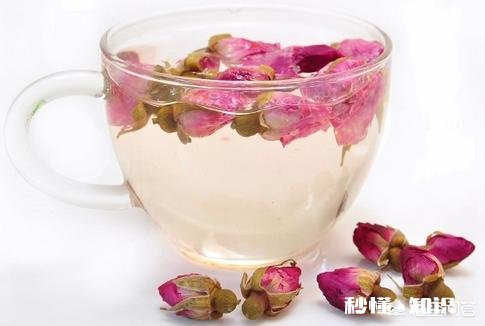 蒲公英茶加什么能瘦身要注意什么