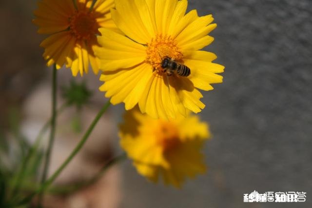 喜欢一个女孩，微信聊不起来，还需要坚持吗