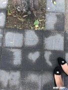 男朋友微信头像一直用我和他的合照，算不算很爱很爱我