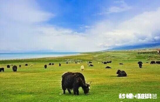 国内哪里适合8月旅游