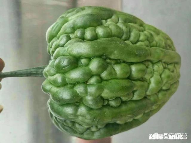 夏天到了，凉瓜汤你喜欢喝吗怎么做好吃呢