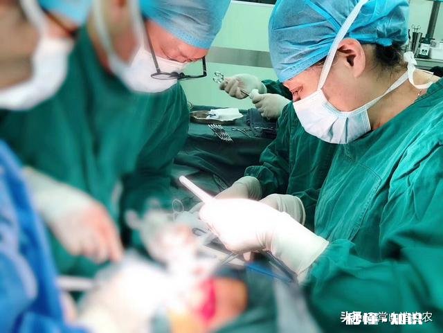 上一个专科学校学口腔医学，有前途吗