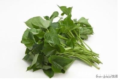 到种植地瓜苗的时候了吗