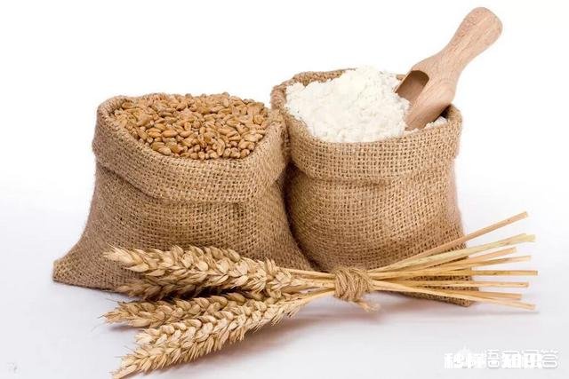 请问小麦和大米的营养成分有什么不同