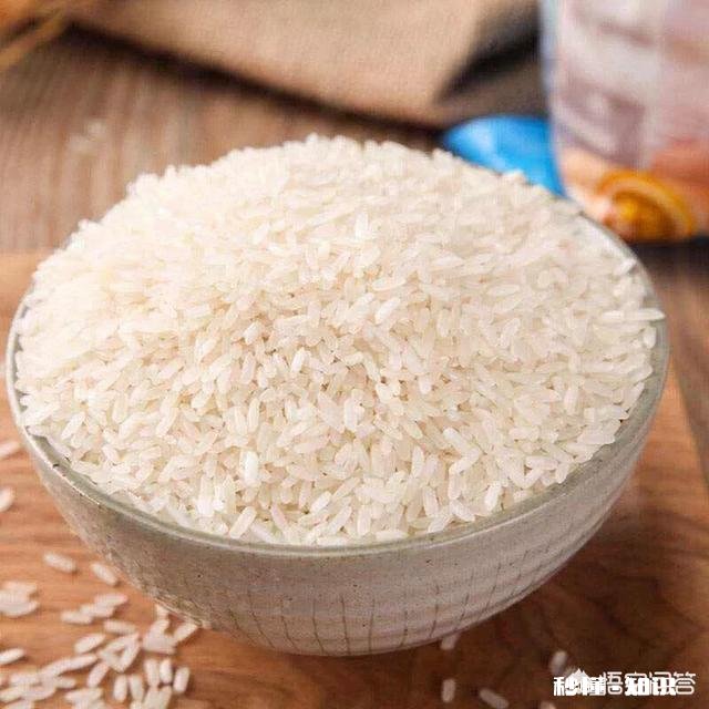 请问小麦和大米的营养成分有什么不同