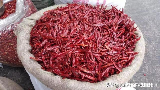 越冬辣椒修剪后施什么肥