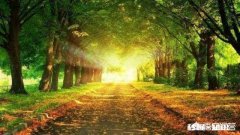 什么样的打击会让你一蹶不振