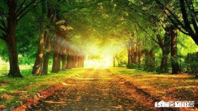 什么样的打击会让你一蹶不振