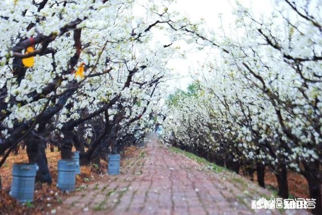 今年冷空气特别活跃，想起了古人说的一句话:六月六日晒寒衣，怎么解释这句话呢