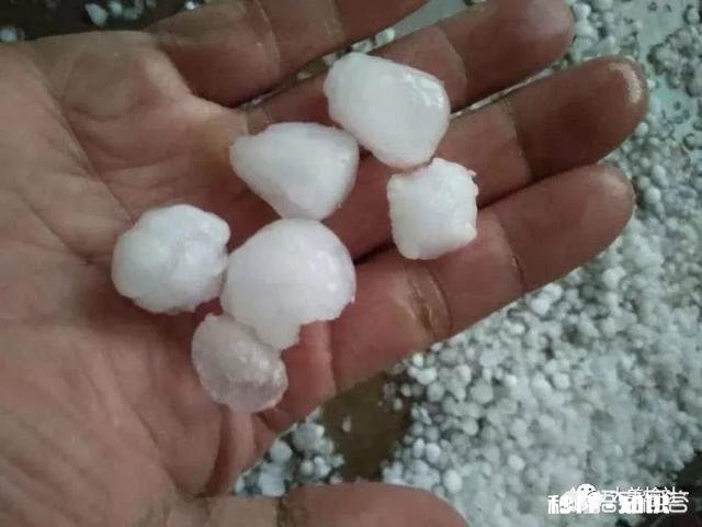 今年冷空气特别活跃，想起了古人说的一句话:六月六日晒寒衣，怎么解释这句话呢