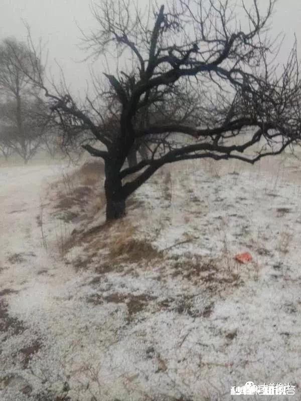 今年冷空气特别活跃，想起了古人说的一句话:六月六日晒寒衣，怎么解释这句话呢