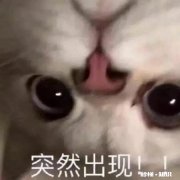 男生当客服丢人吗