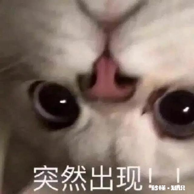 男生当客服丢人吗