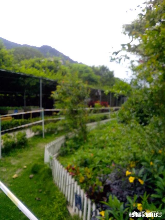 你生活在哪个区域你喜欢你生活的地方吗