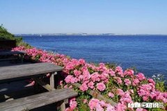 你生活在哪个区域你喜欢你生活的地方吗