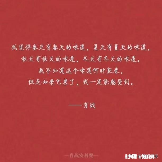 肖战为何会红,为何成为顶流