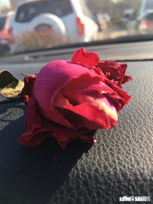 小时候你的压岁钱有没有被父母以“保管”的名义收缴