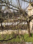 女儿有病，后妻不愿和她一起住，怎么办