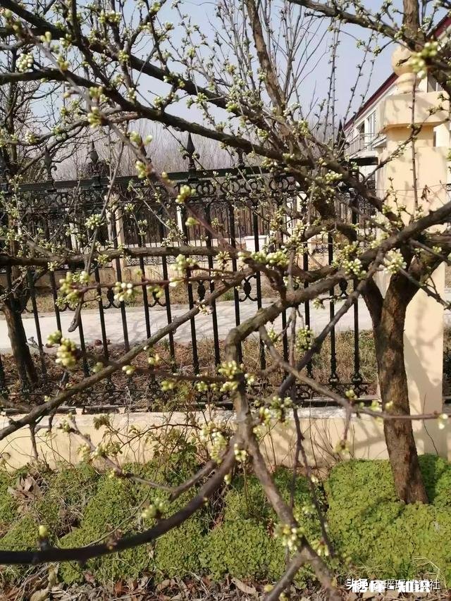 女儿有病，后妻不愿和她一起住，怎么办